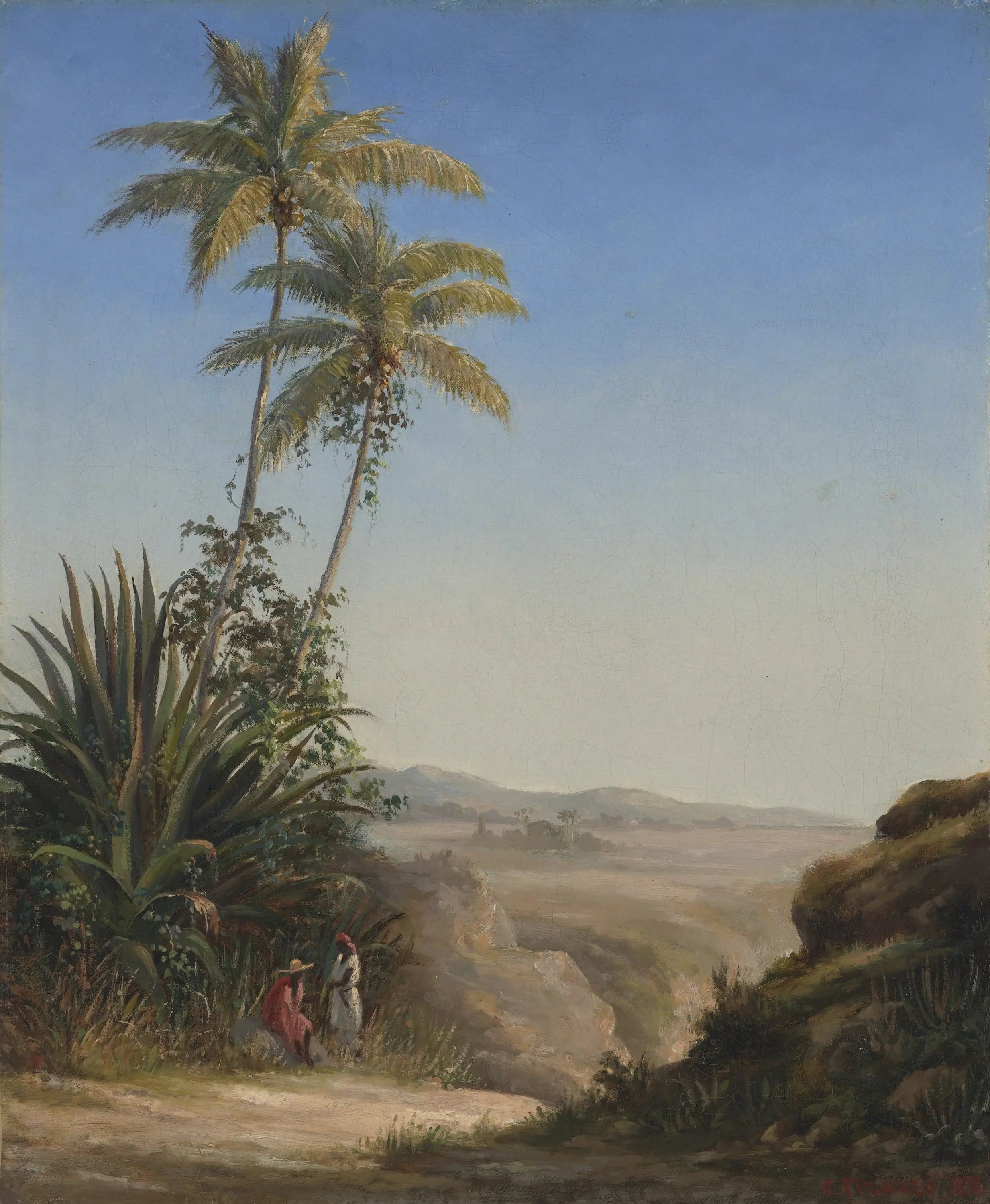 Landscape at Saint Thomas