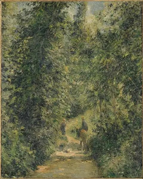 Path through the woods, in summer