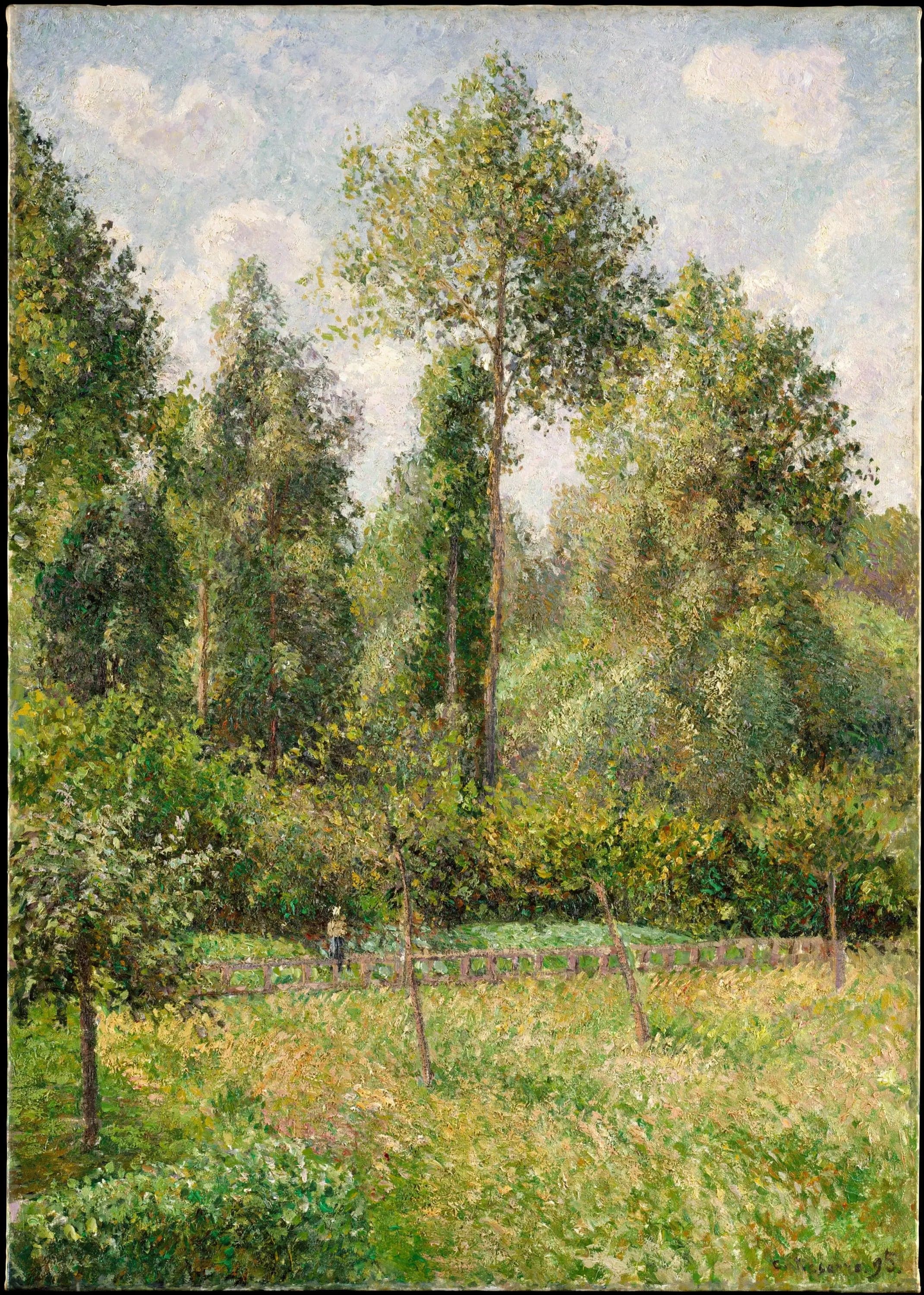 Poplars, Éragny