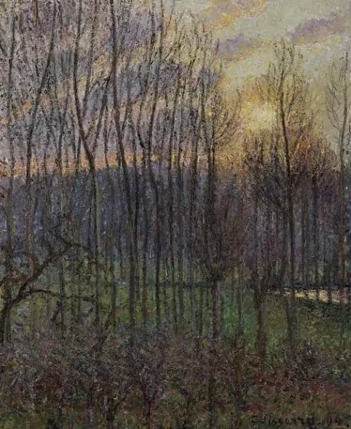 Poplars at Éragny, setting sun