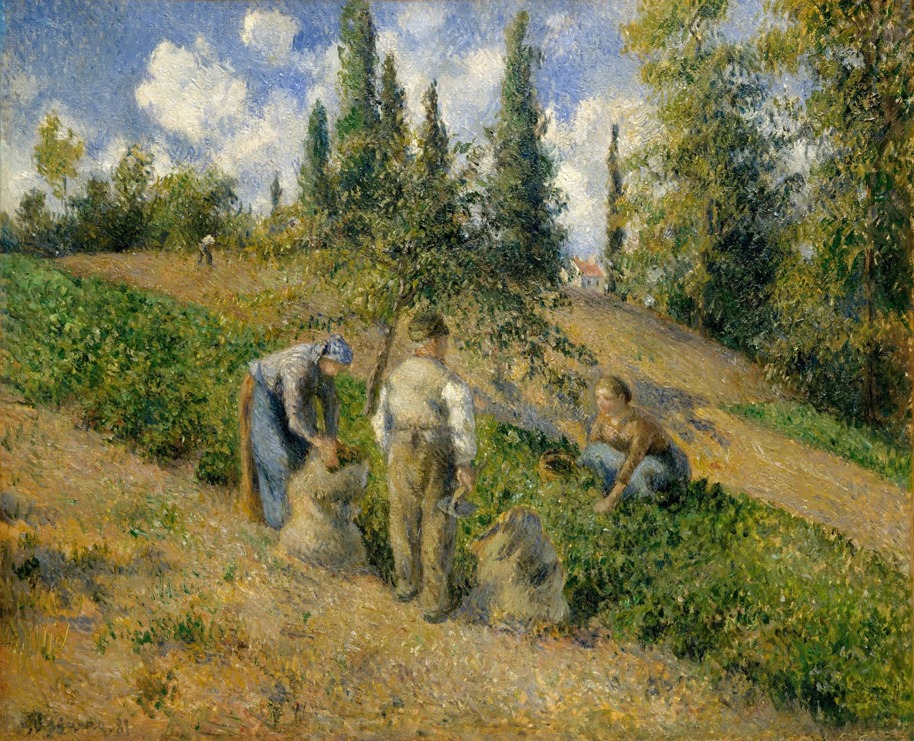 The Harvest, Pontoise