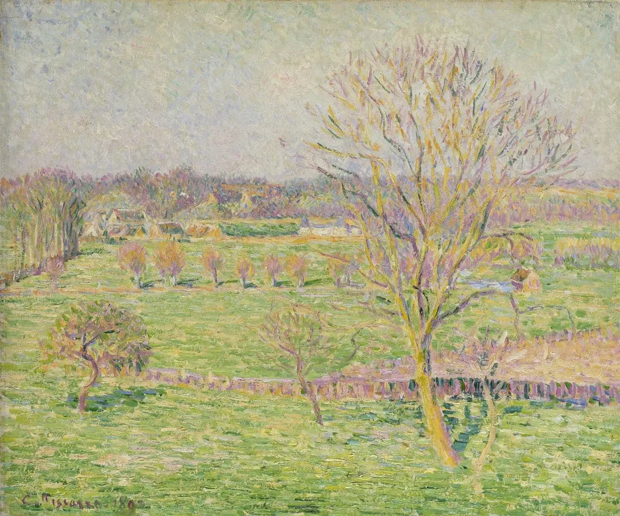 The Meadow and the Large Walnut Tree, Spring, Eragny