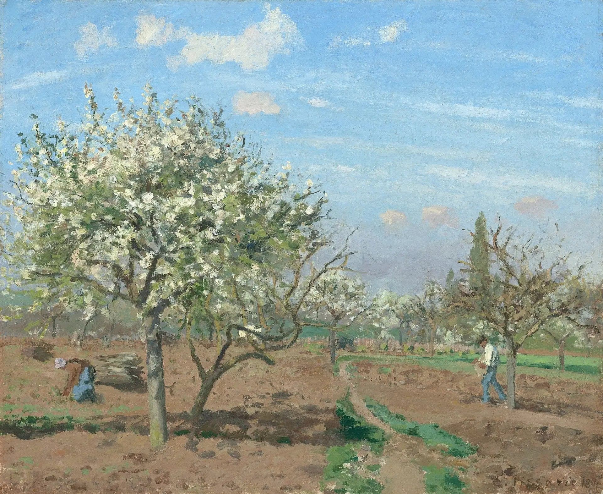The Orchard
