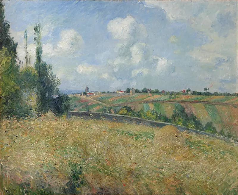 The Rye Fields, Gratte-Coqs Coast, Pontoise