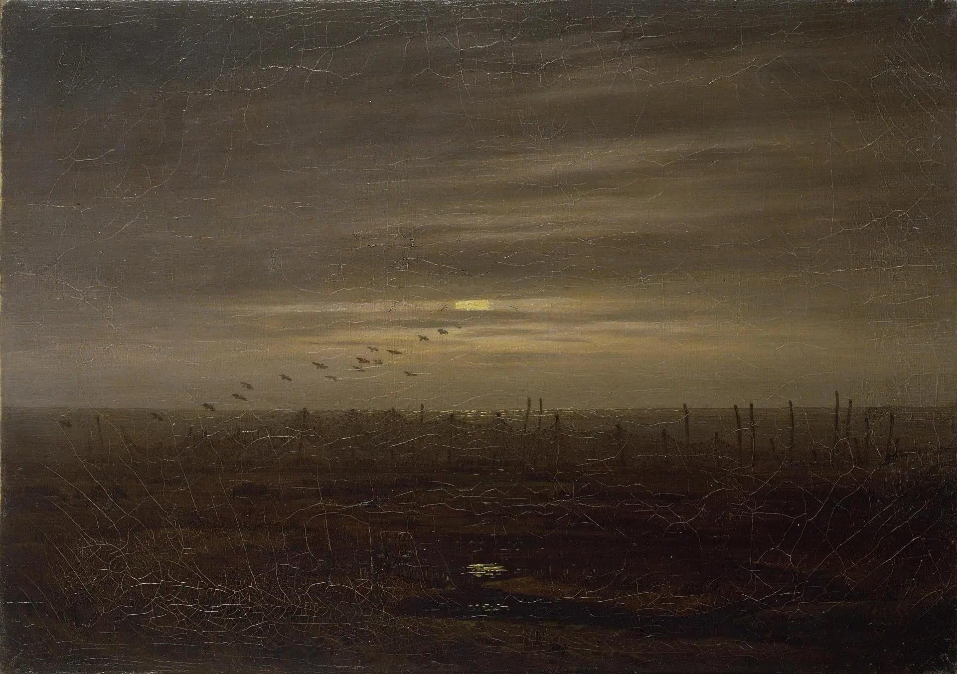 Beach with Fishing Nets