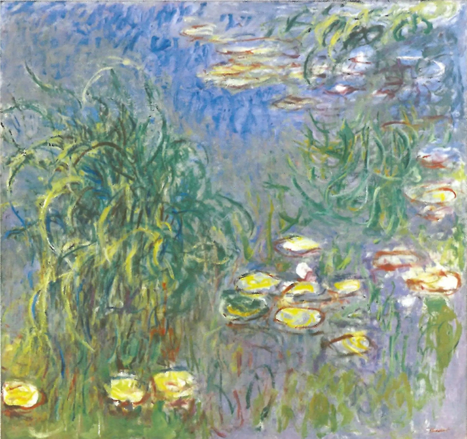 Water Lilies, Bouquet of Grasses