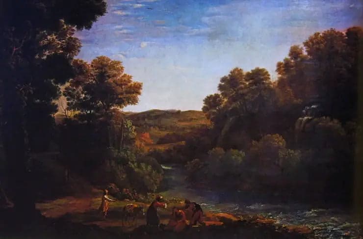 Forested landscape with a stream