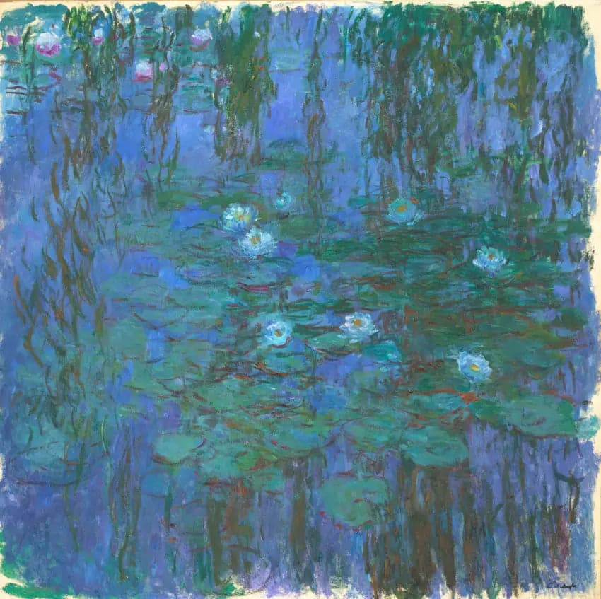 Blue Water Lilies