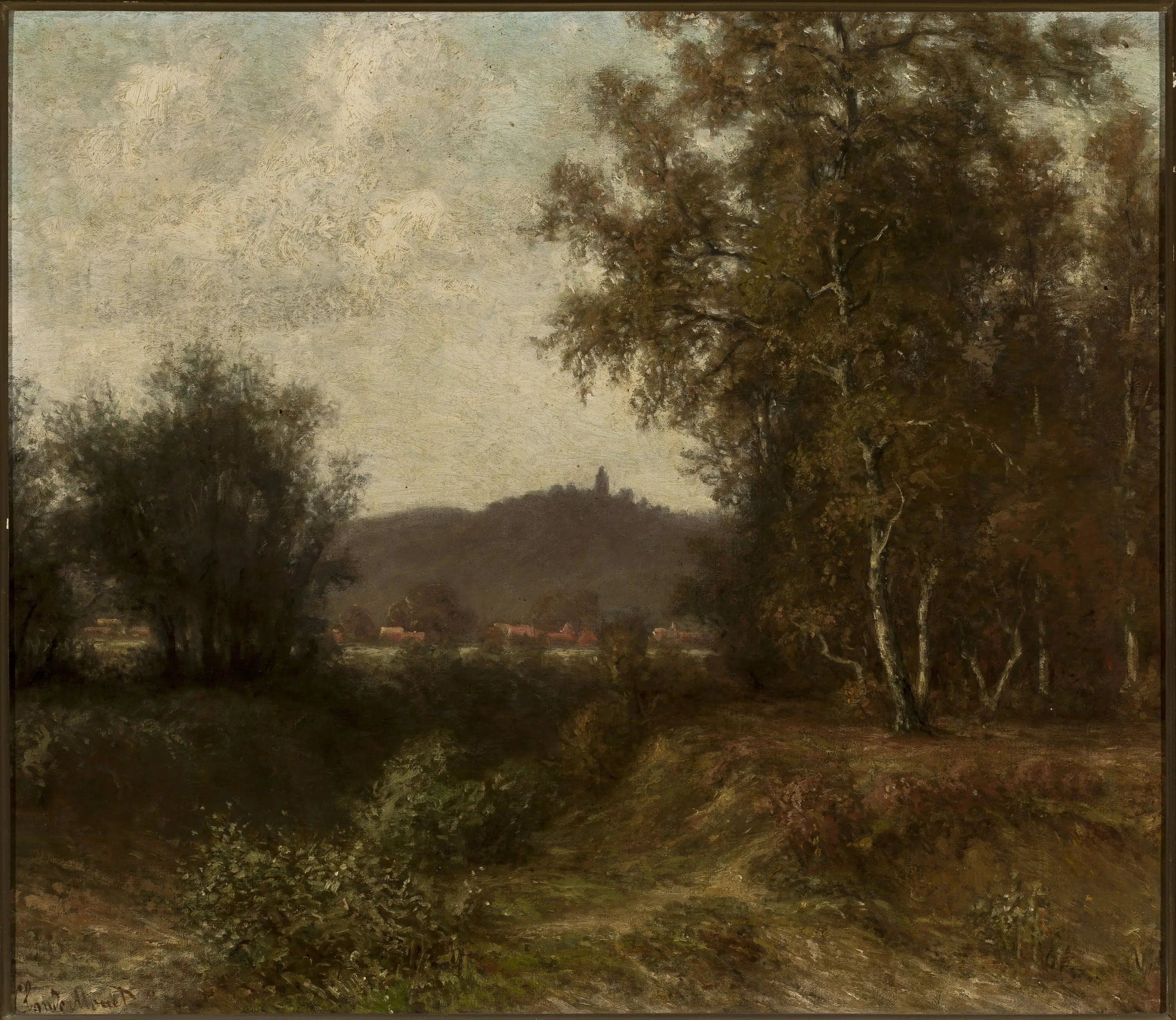Rural landscape with trees