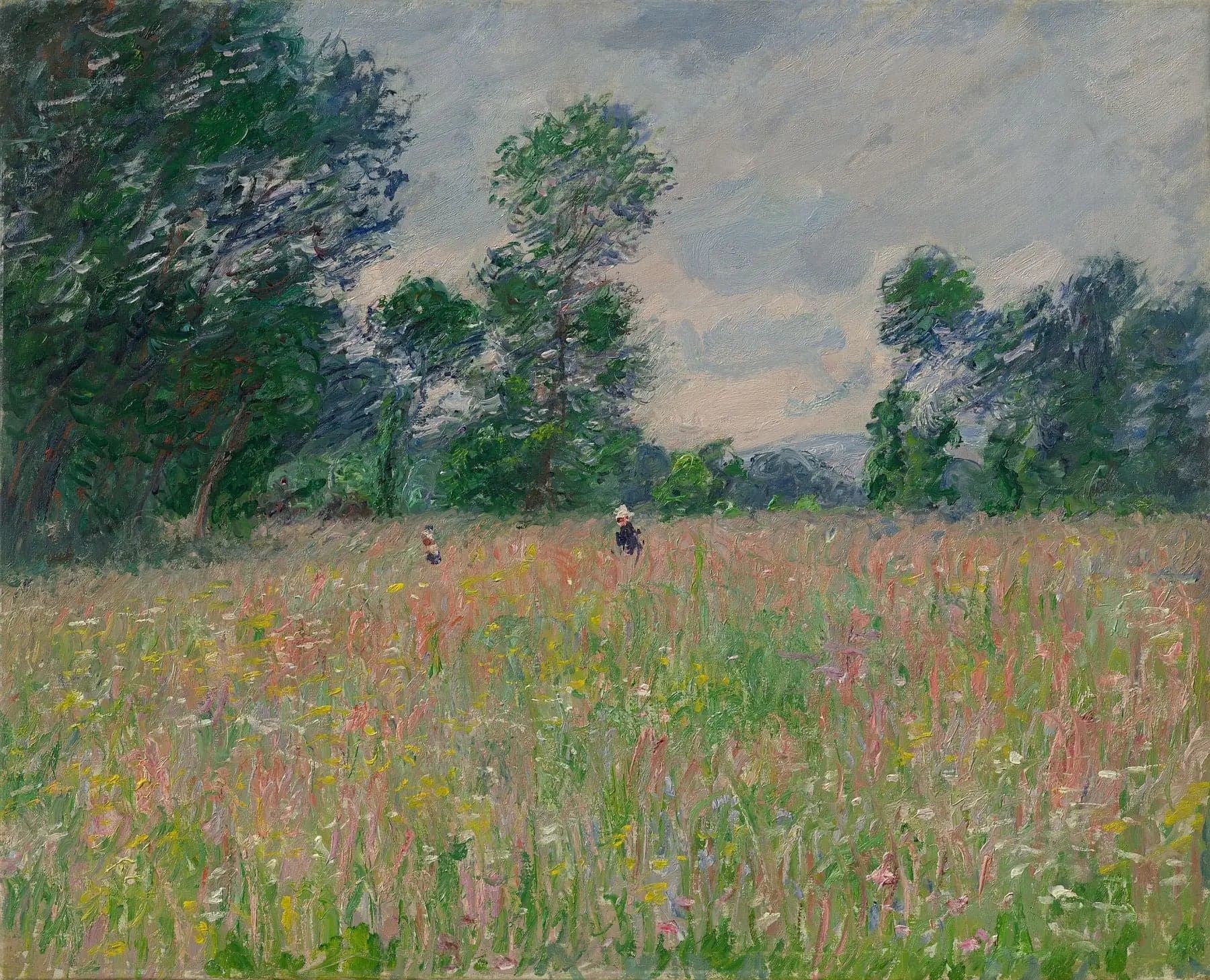 The Flower Meadow