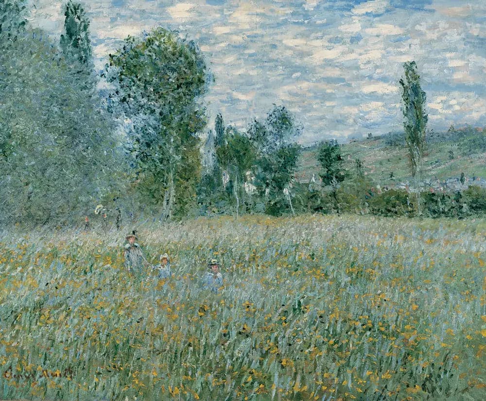 The Meadow