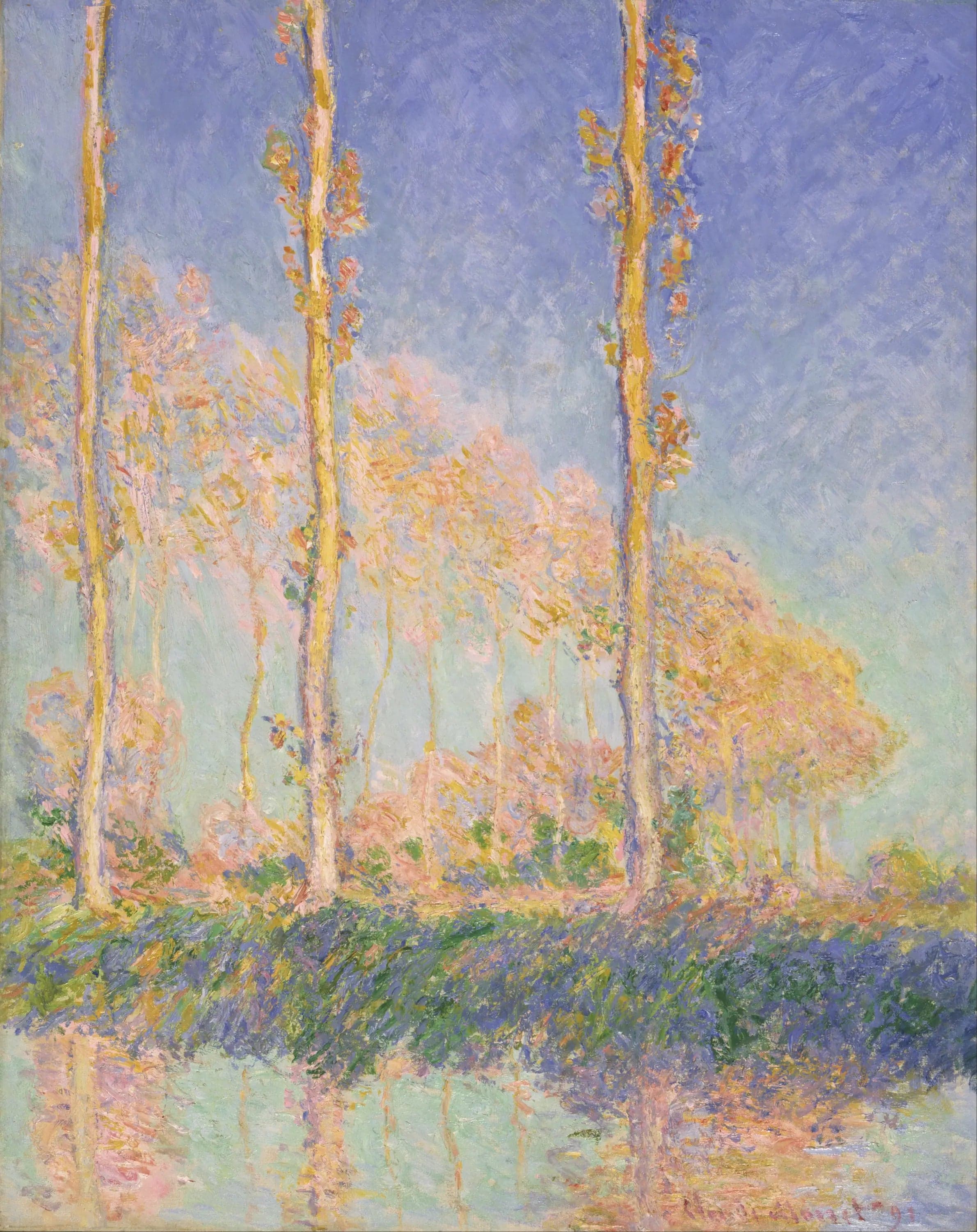 The Poplars, three pink trees, autumn