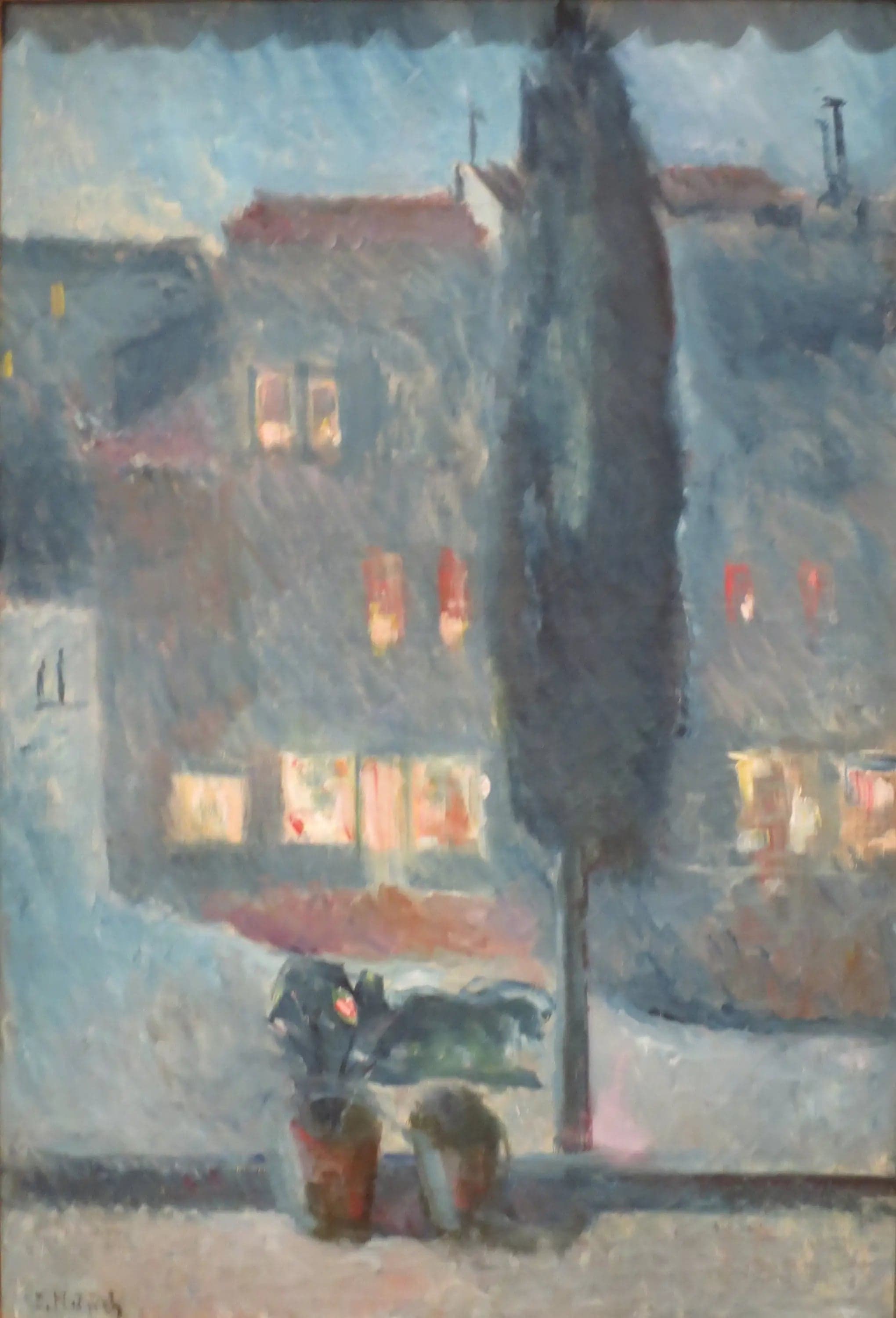 Cypress at Moonlight