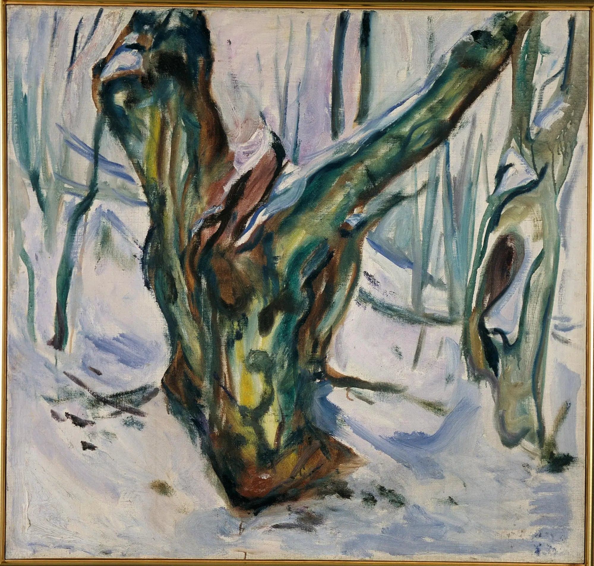 Rough Tree Trunks in the Snow