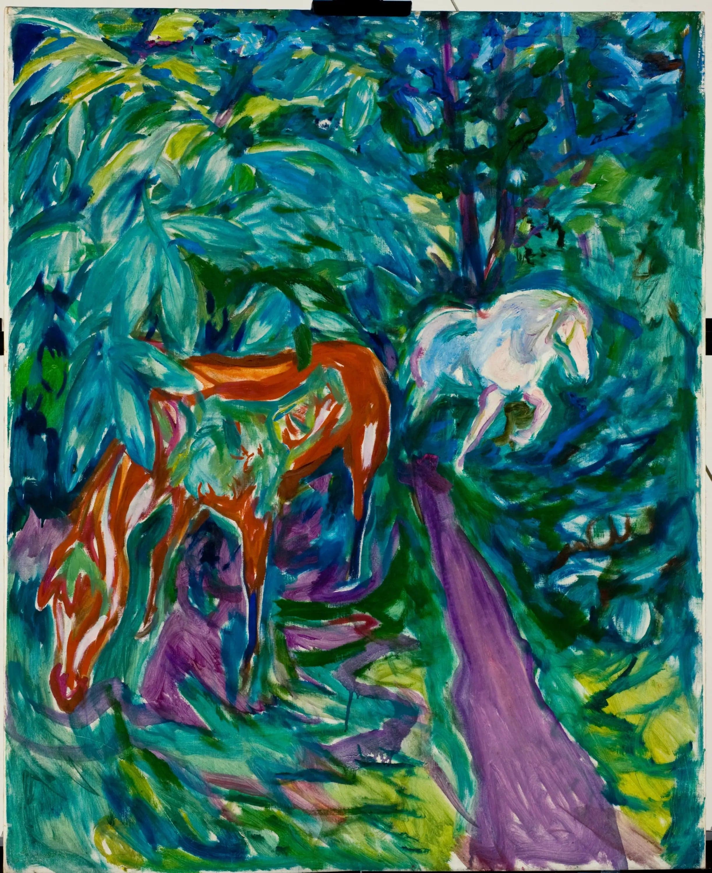 Two Horses in the Forest
