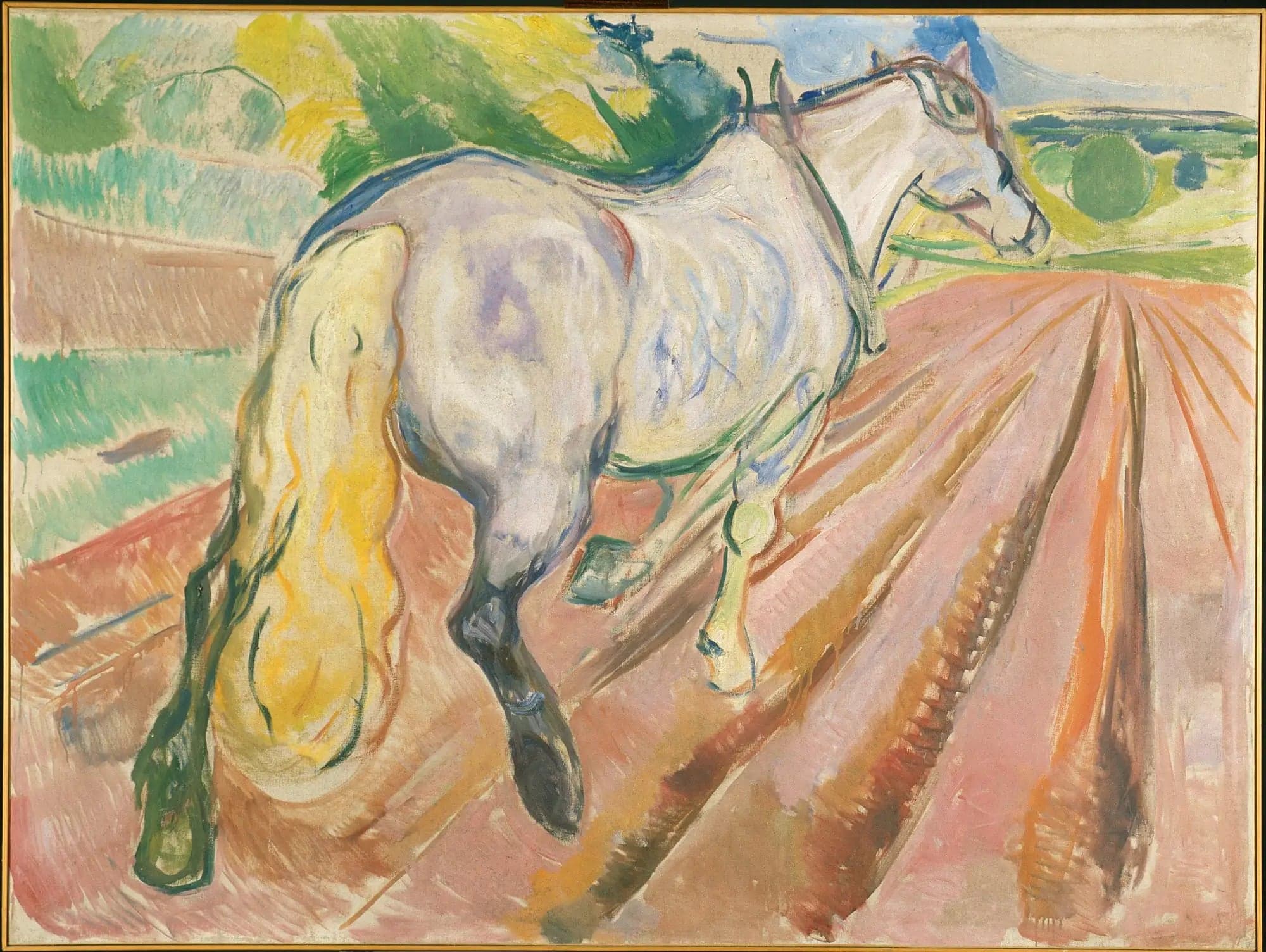 White Horse Seen from Behind