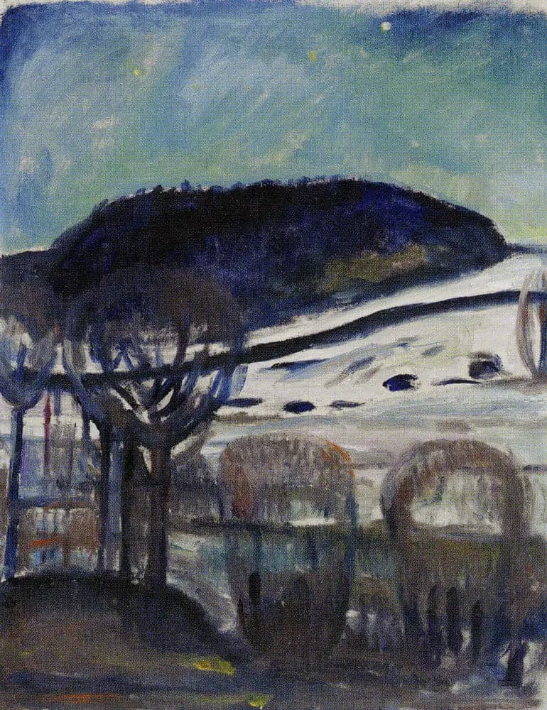 Winter Night
