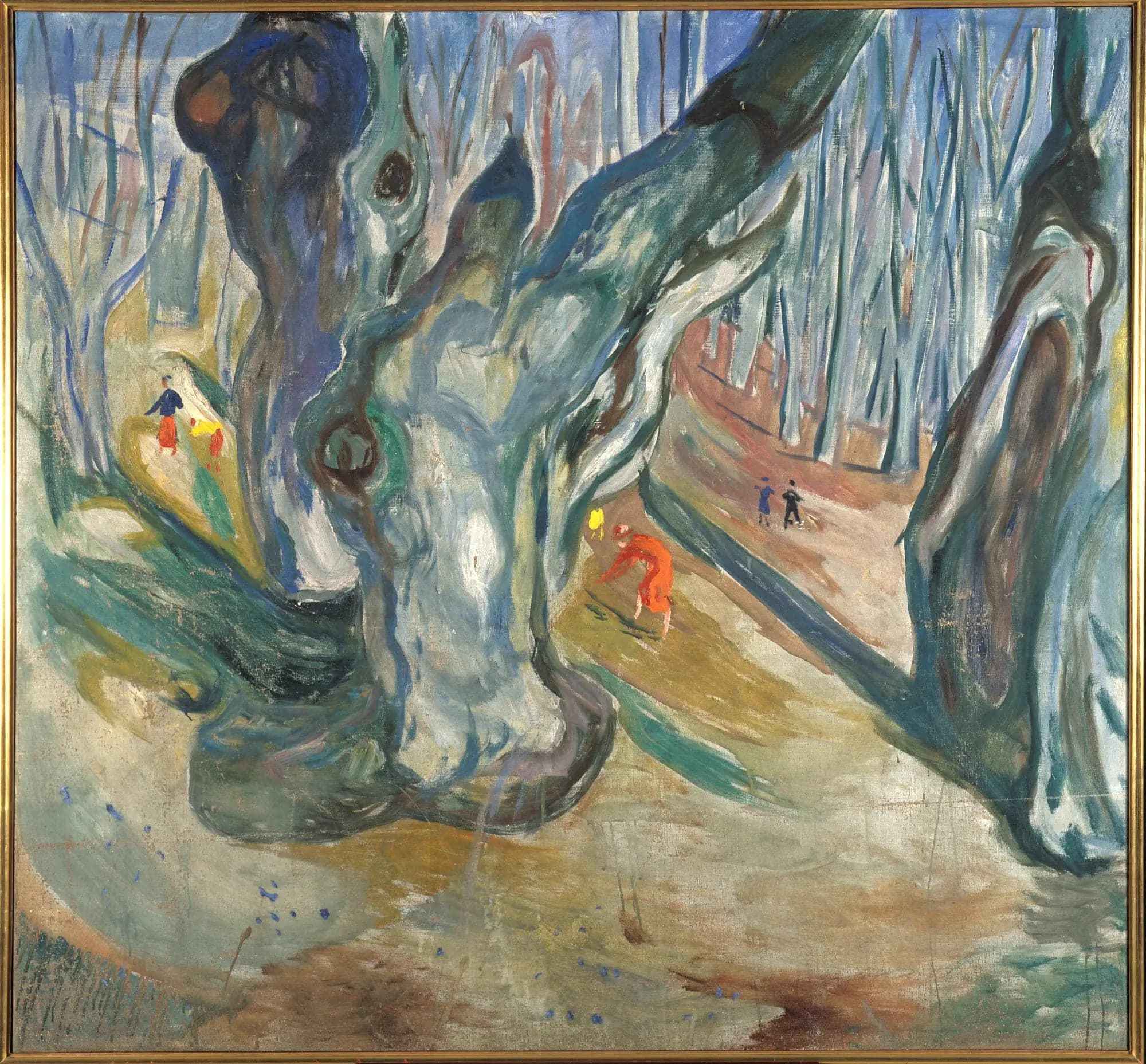 elm forest in spring