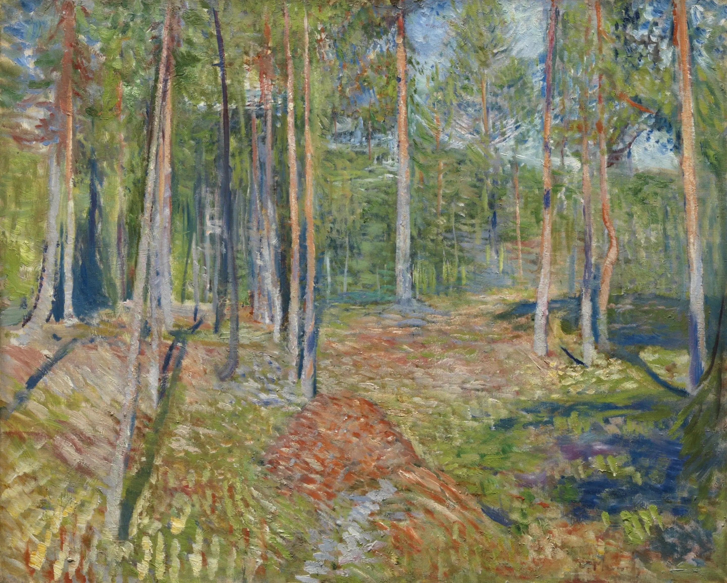 pine forest