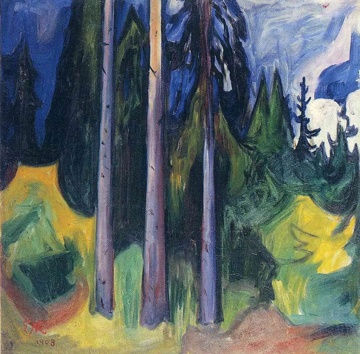 spruce forest