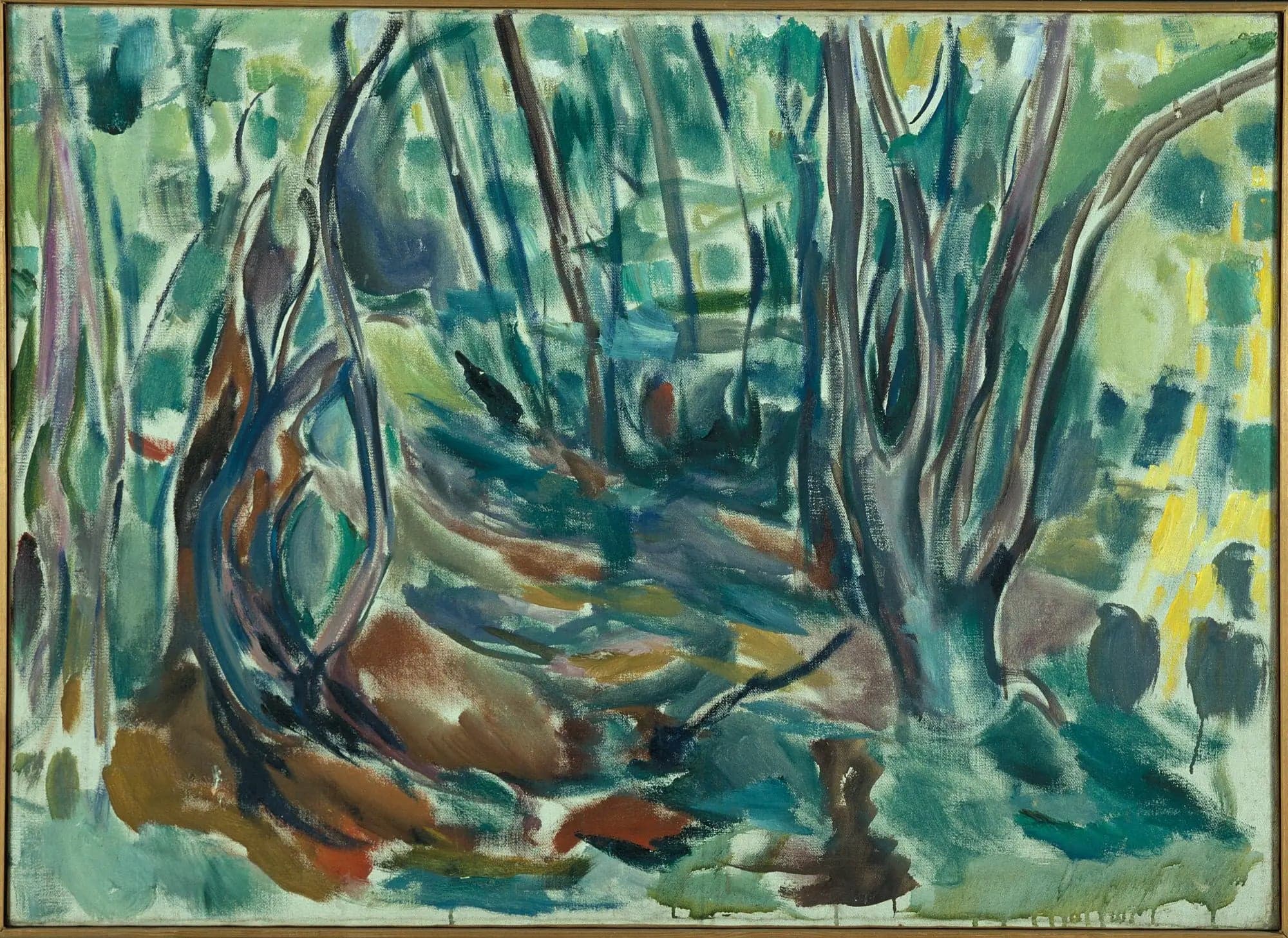 summer elm forest