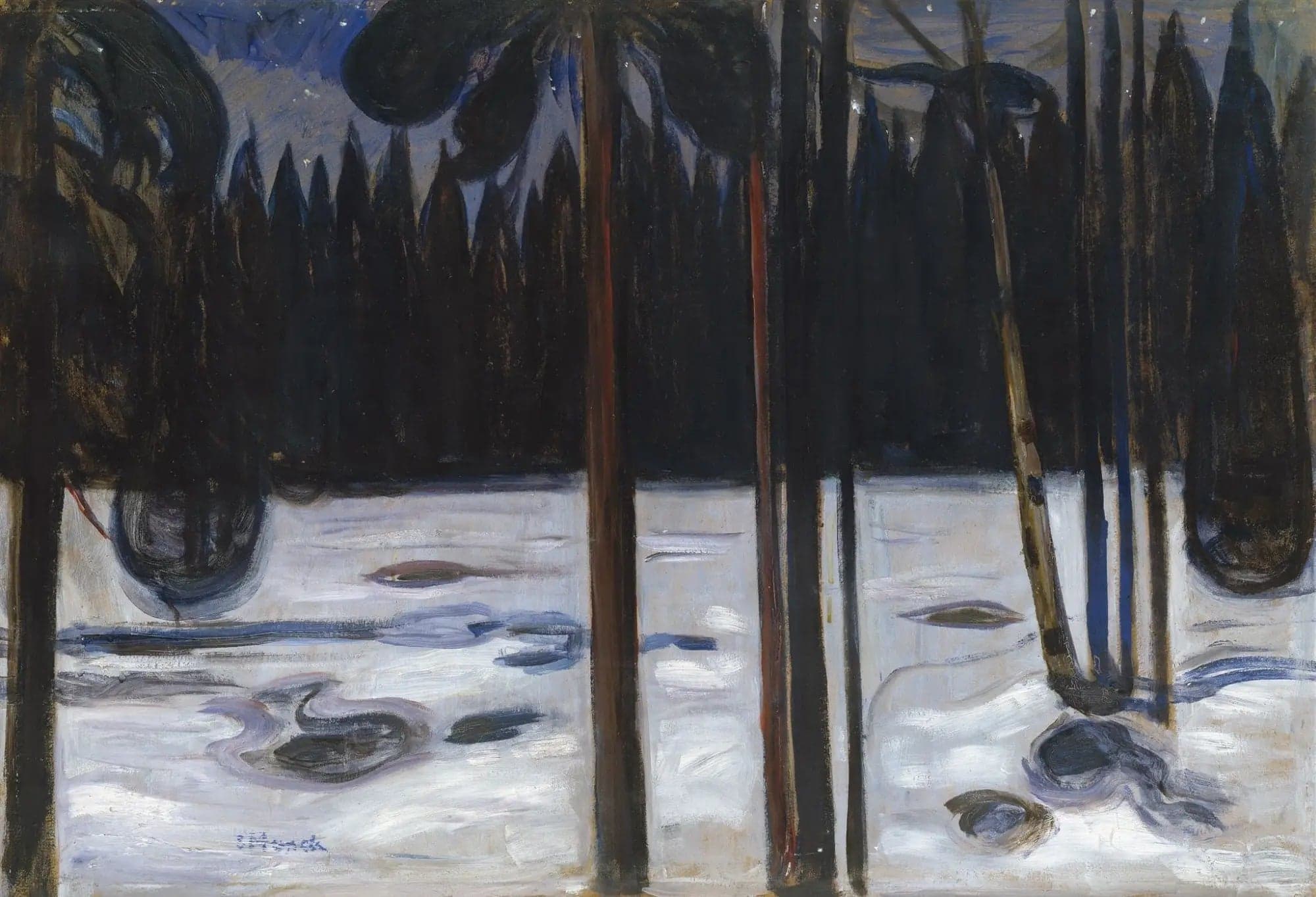winter forest