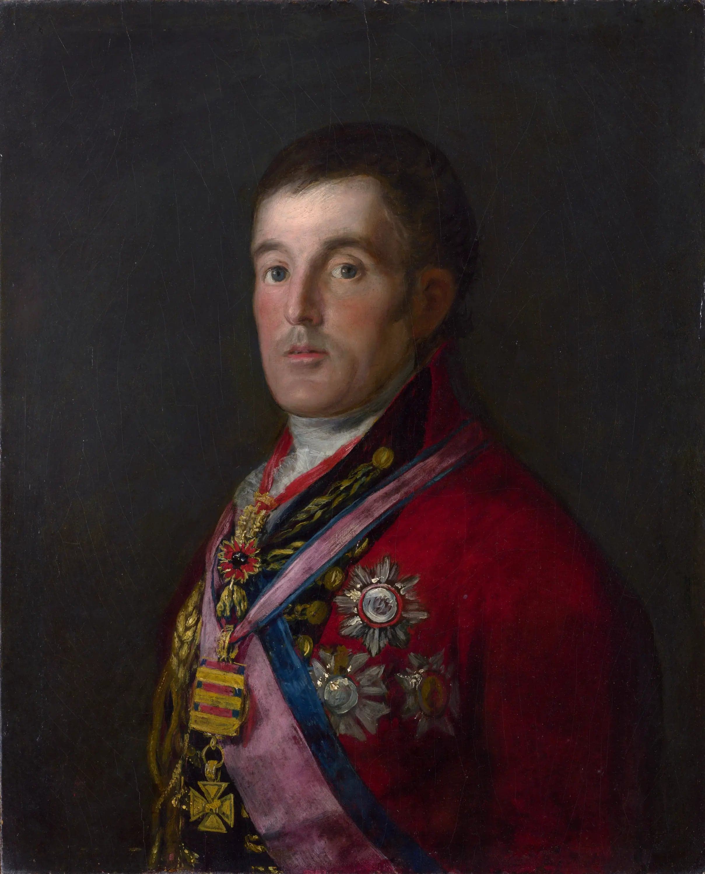 Portrait of the Duke of Wellington