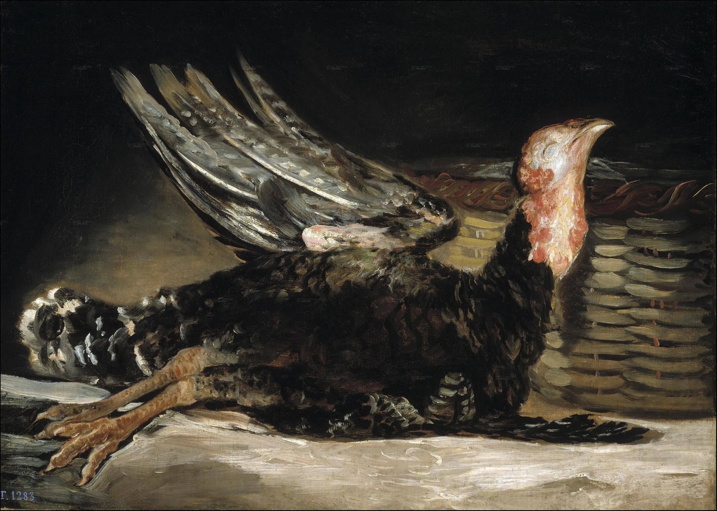 Still Life with Turkey