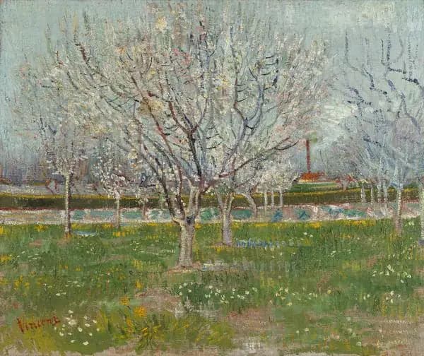Orchard in Bloom