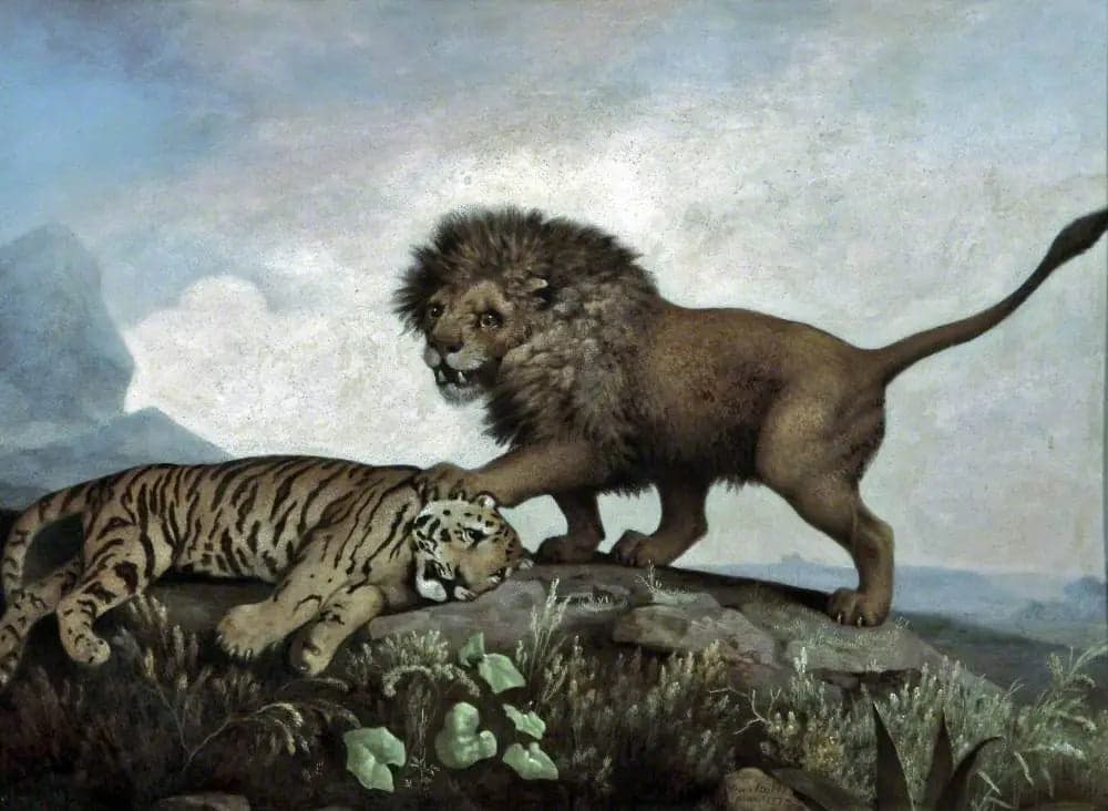 A lion and a tiger