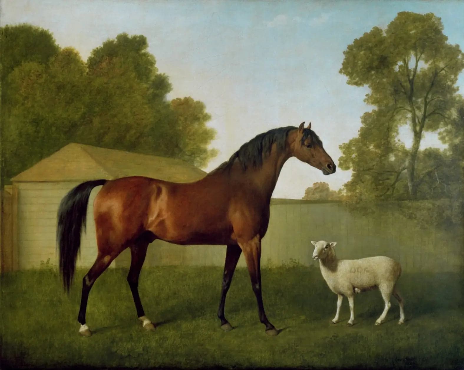 Dungannon, property of Colonel O'Kelly, painted in a paddock with a sheep