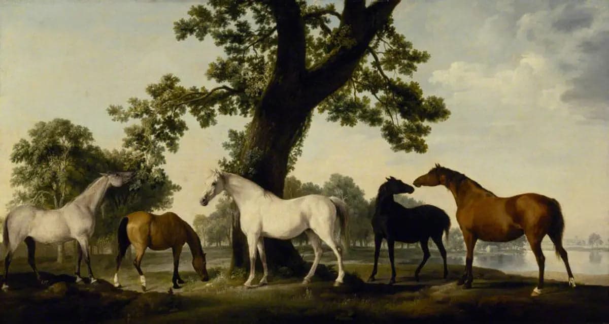 Five Mares at the Duke of Cumberland's Stud Farm in Windsor Great Park