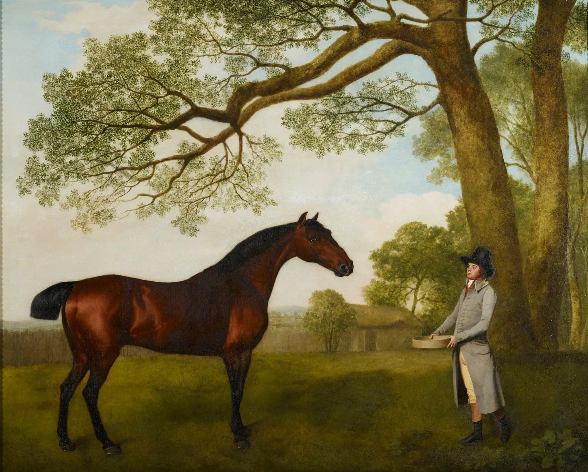 John Gascoigne with a bay horse