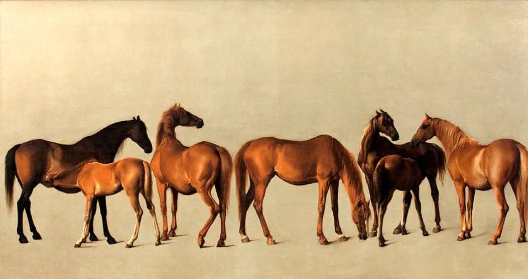 Mares and Foals Without Antecedents