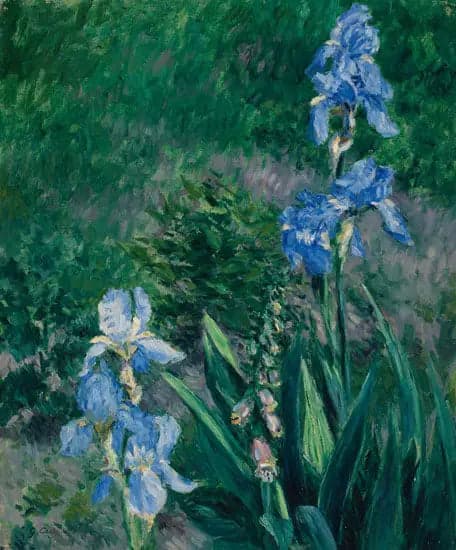 Blue Irises, Garden of Petit Gennevilliers