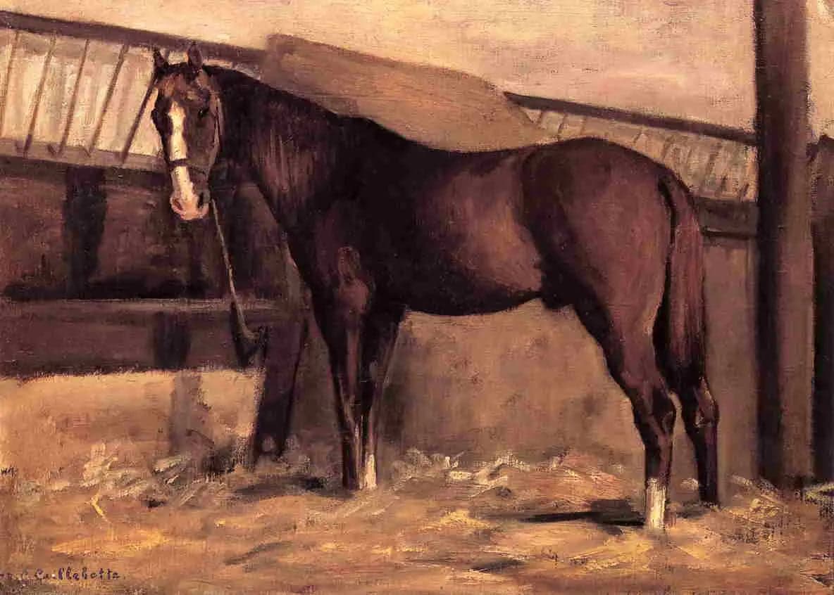 Chestnut Bay Horse in the Stable