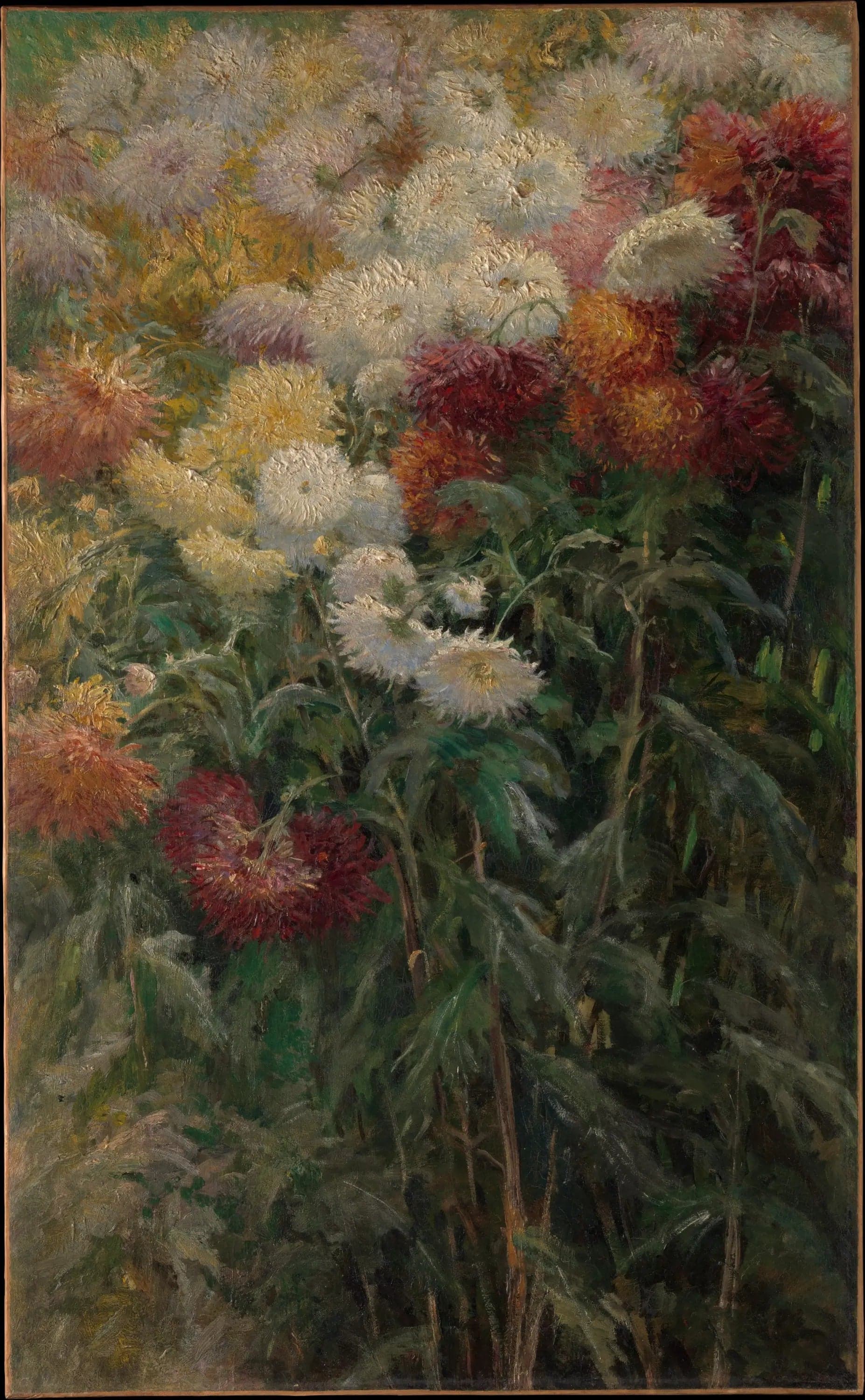Chrysanthemums in the Garden of Petit Gennevilliers