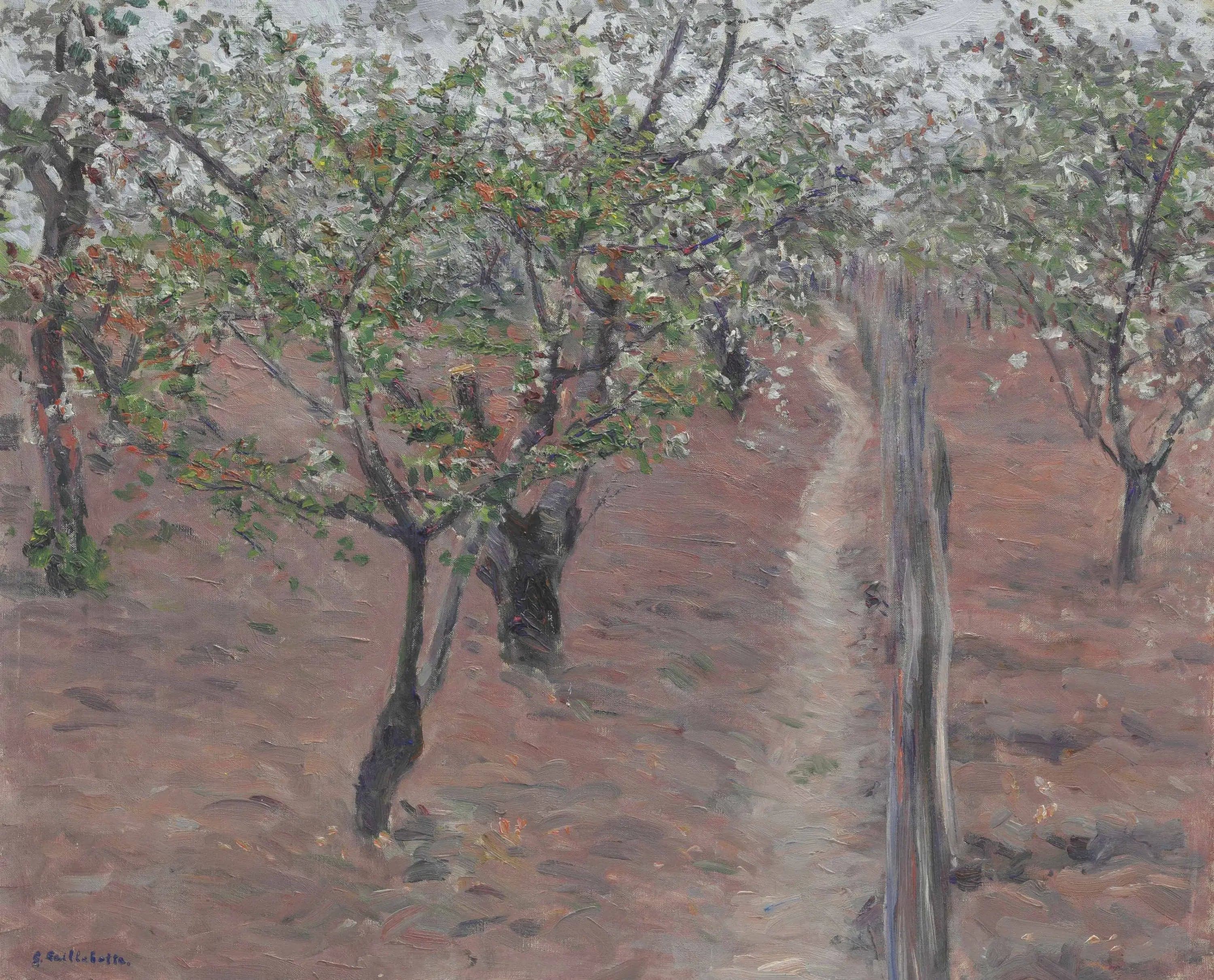 Orchard, flowering trees, Petit Gennevilliers