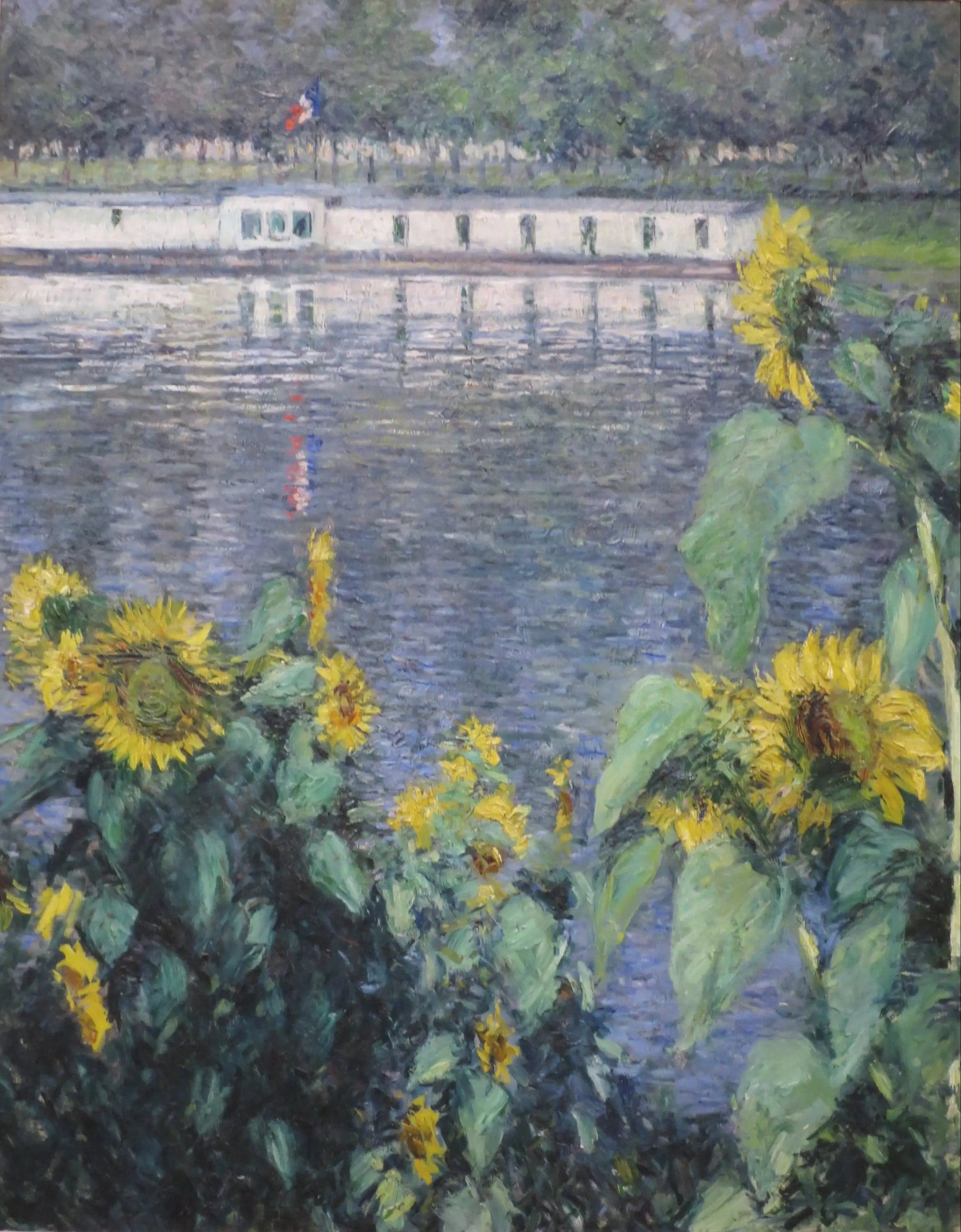 Sunflowers along the Seine