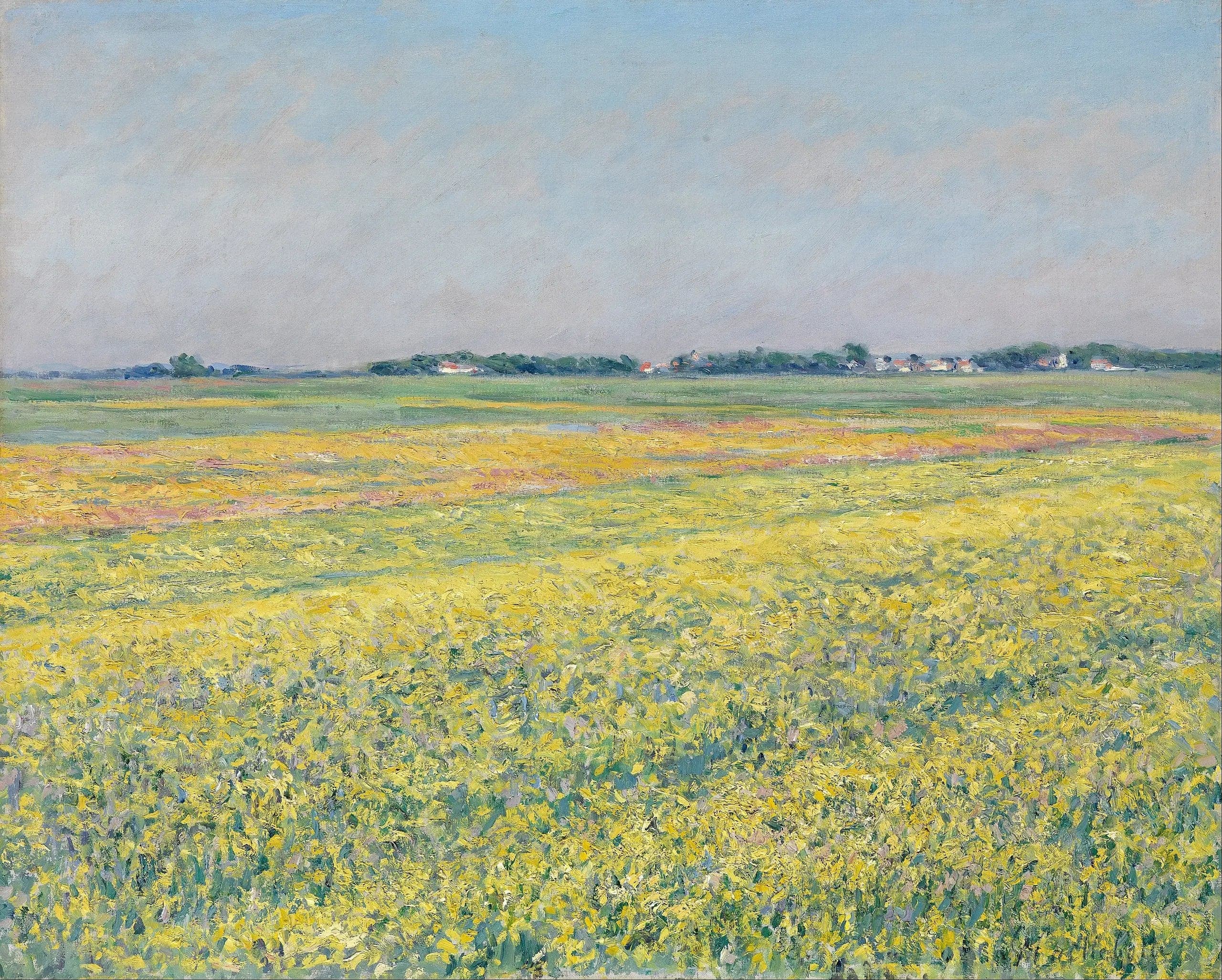 The Gennevilliers Plain, Yellow Fields