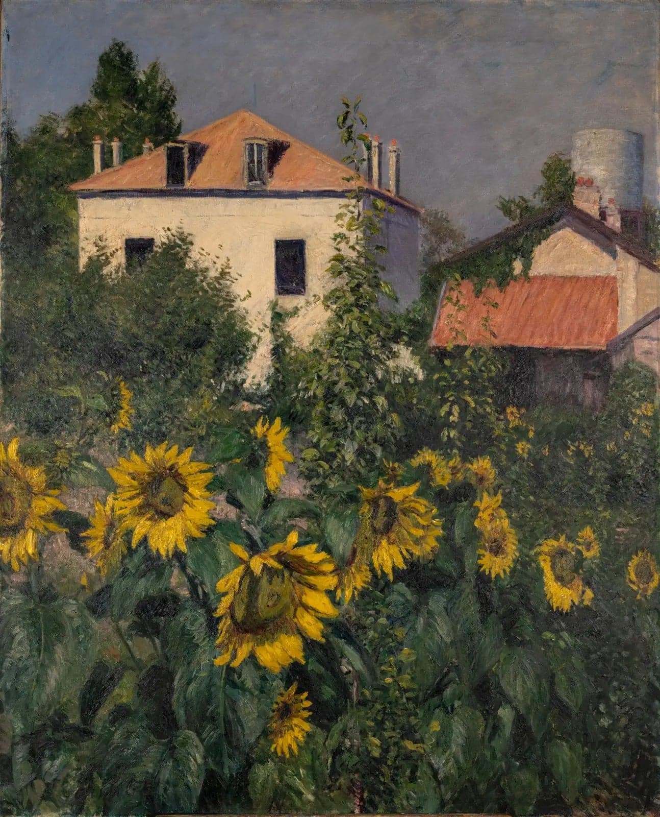 The Sunflowers, Garden of Petit Gennevilliers