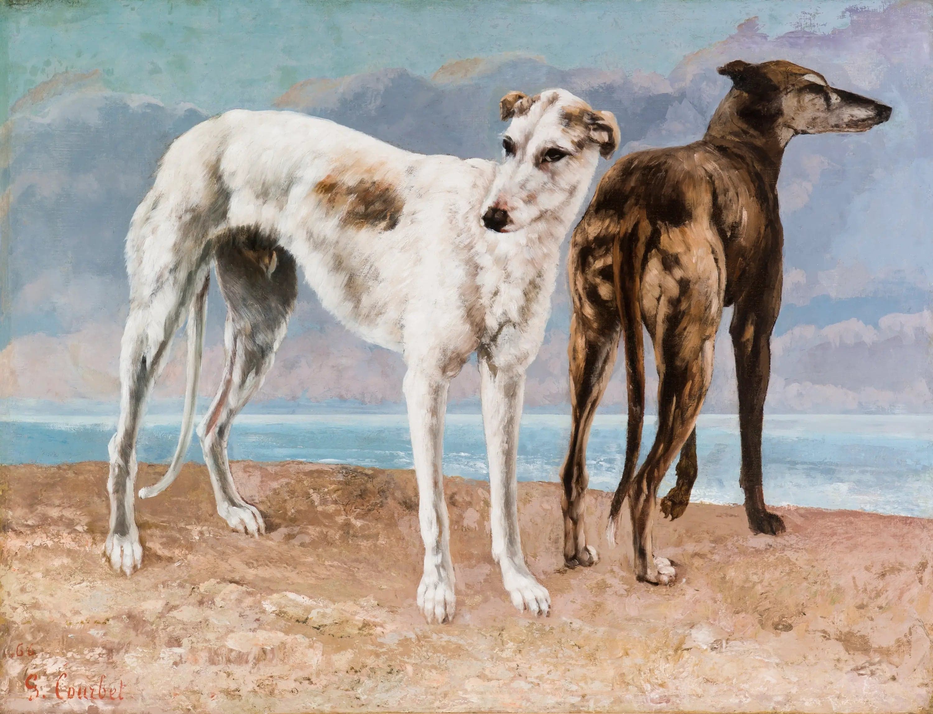 The Count of Choiseul's Greyhounds