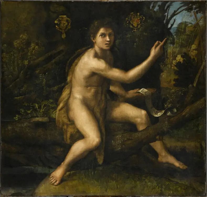 Saint John the Baptist in the Desert