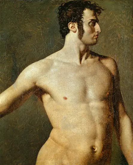 Male Torso - Jean-Auguste