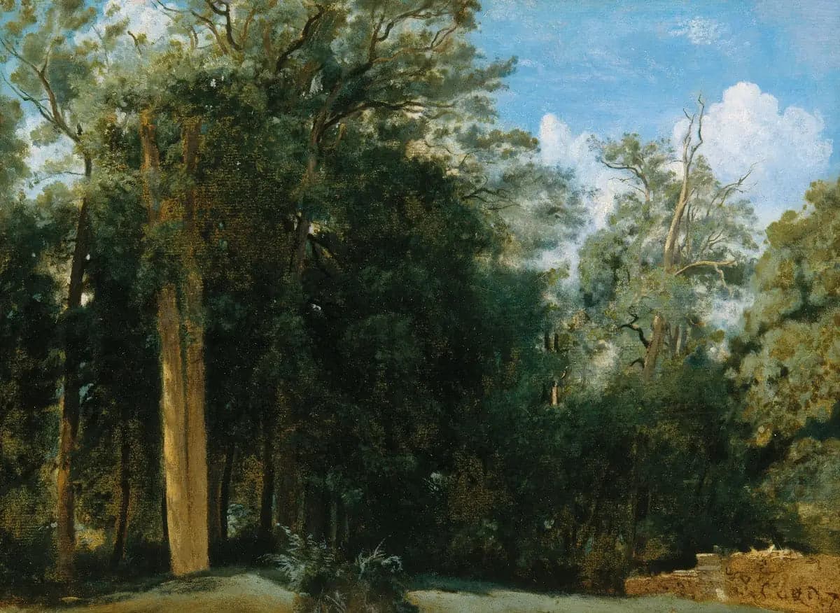 Fontainebleau. Forest Edge with a Small Wall - Jean