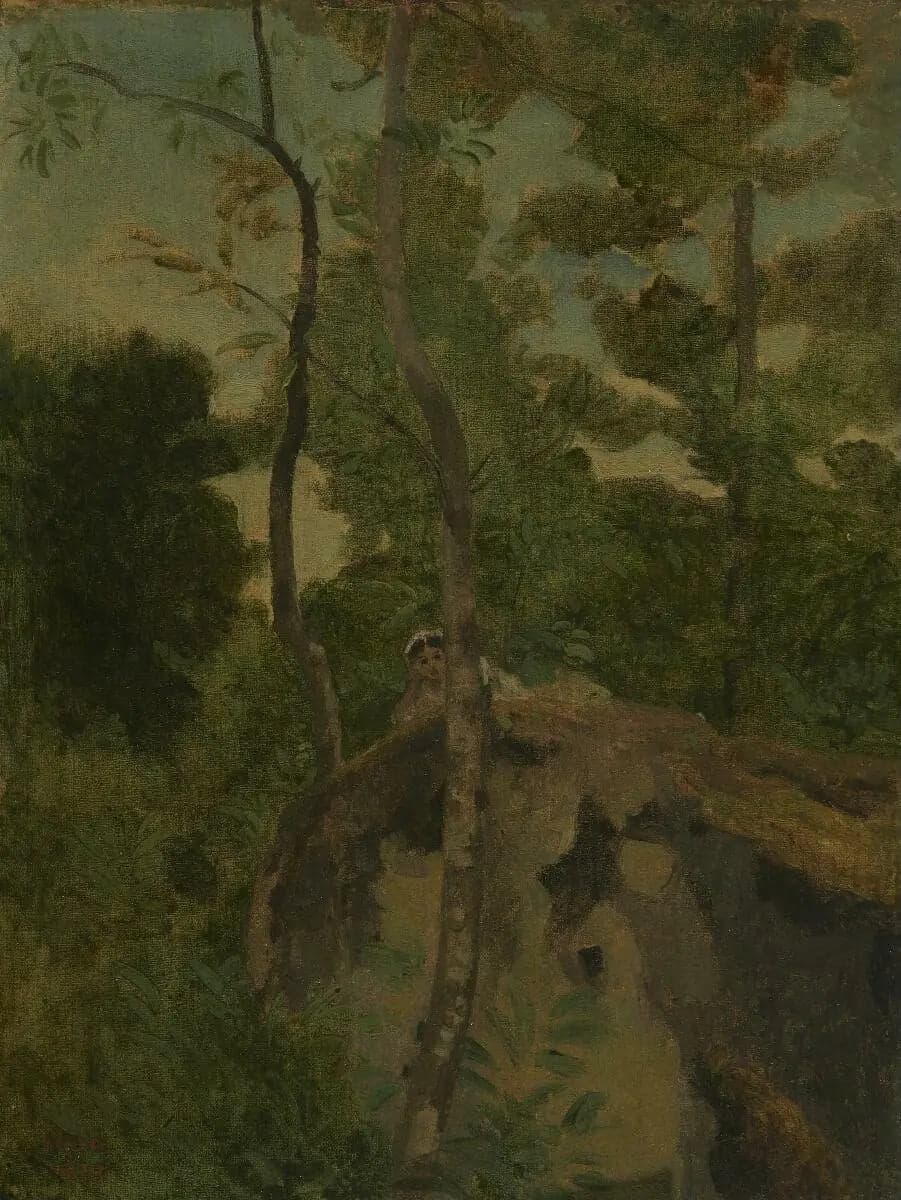 Les Alinges. Young girl lying on a rock under the trees - Jean