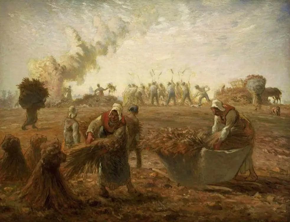Buckwheat Harvest, Summer - Jean