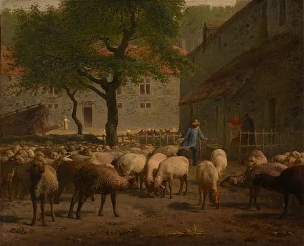 The Sheep Shearing - Jean