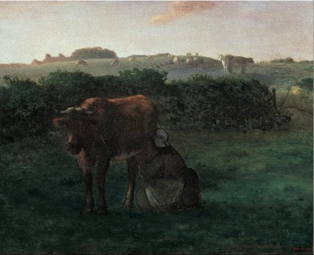 Woman sketching a cow - Jean