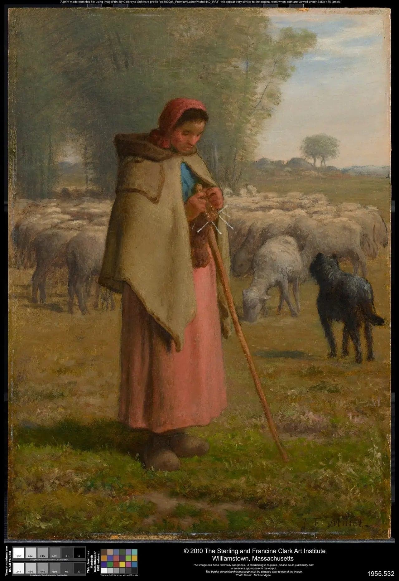 Young Girl Keeping Her Sheep - Jean